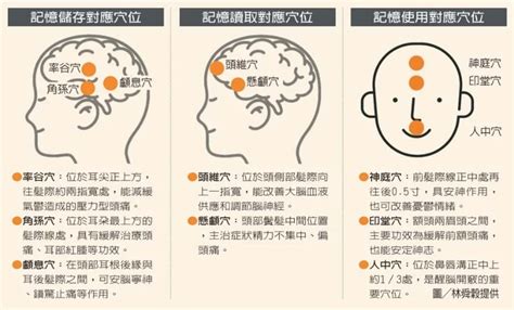 腦門穴|延緩大腦退化！中醫授按壓8健腦穴位改善健忘、腦霧。